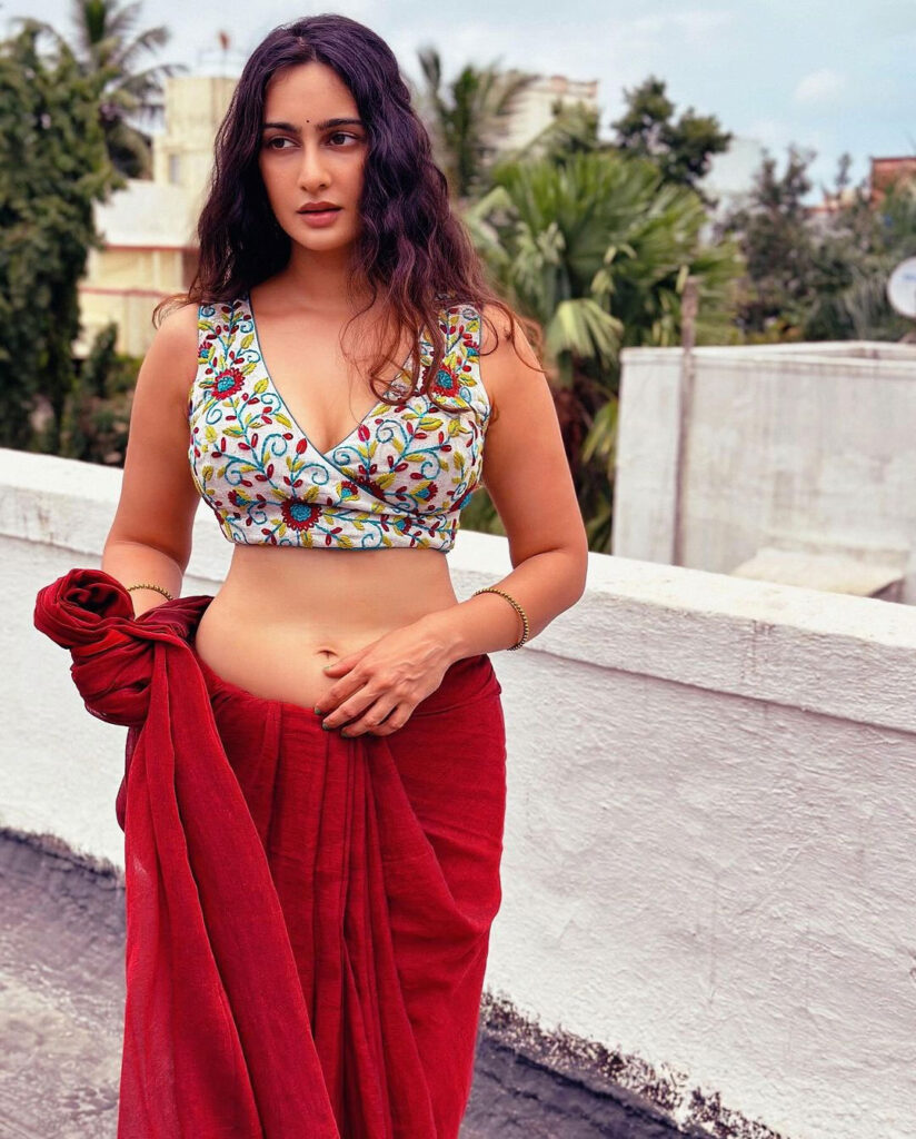 Hunterfly sMegha Shukla Impresses with Her Saree Look454