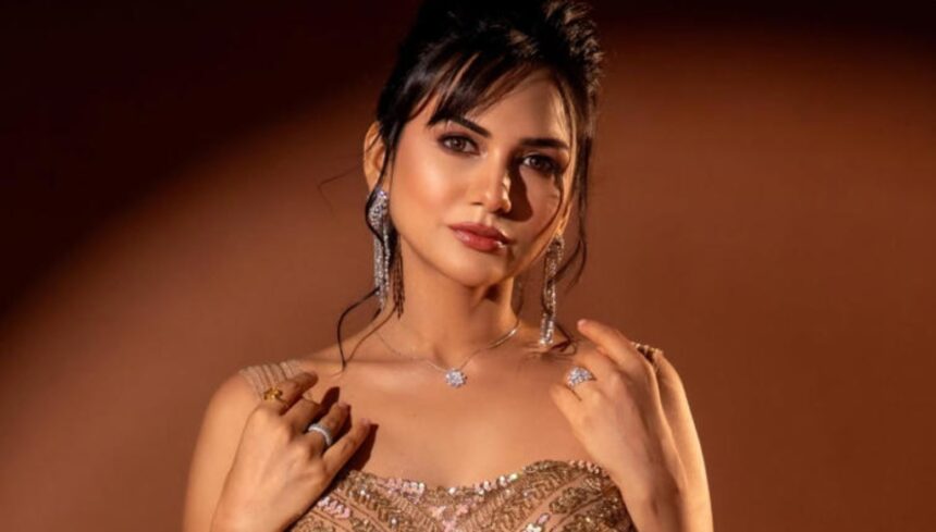 Akanksha Chamola addresses divorce rumours and responds to TRP stunt allegations.