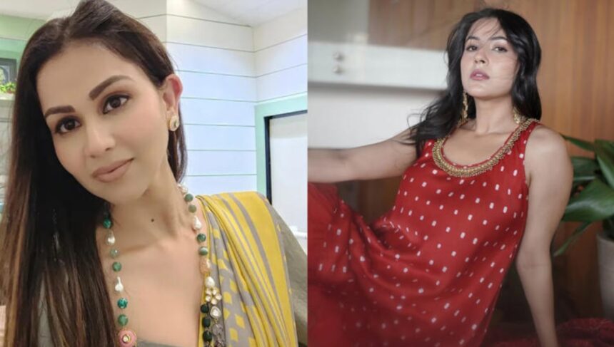 Hunterfly 026 08 05 235408 Aanchal Khurana speaks about her experience with Shehnaaz Gill during Mujhse Shaadi Karoge.