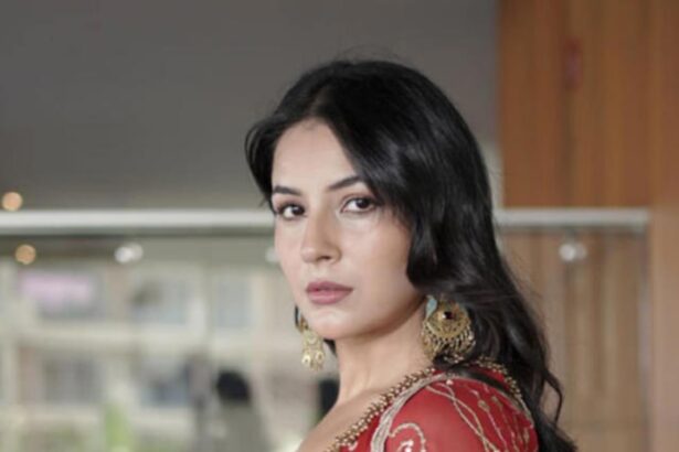 Hunterfly 026 08 10 151446 Shehnaaz Gill during the Ishqnama shoot where her nose ring appeared to fall into her mouth