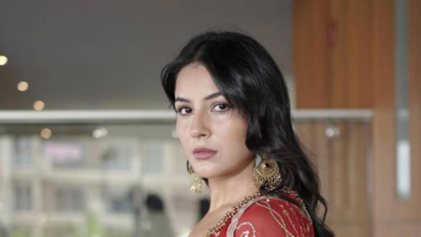 Hunterfly 026 08 10 151446 Shehnaaz Gill during the Ishqnama shoot where her nose ring appeared to fall into her mouth