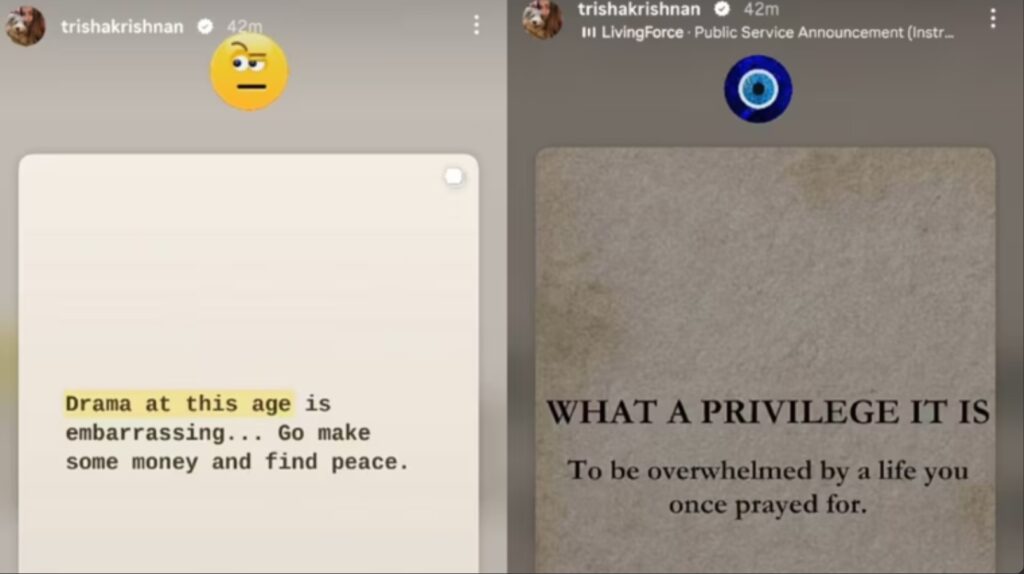 Hunterfly 026 08 11 185236 Trisha’s Instagram posts leave fans guessing