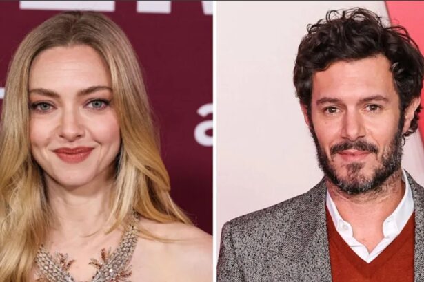 Hunterfly 026 08 30 115813 Amanda Seyfried's Los Angeles home reportedly listed for nearly $3.2 million
