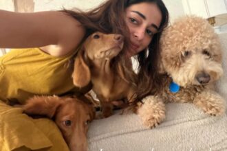 Ananya Panday spending Friendship Day with her pet dogs Honey, Lemon and Riot.