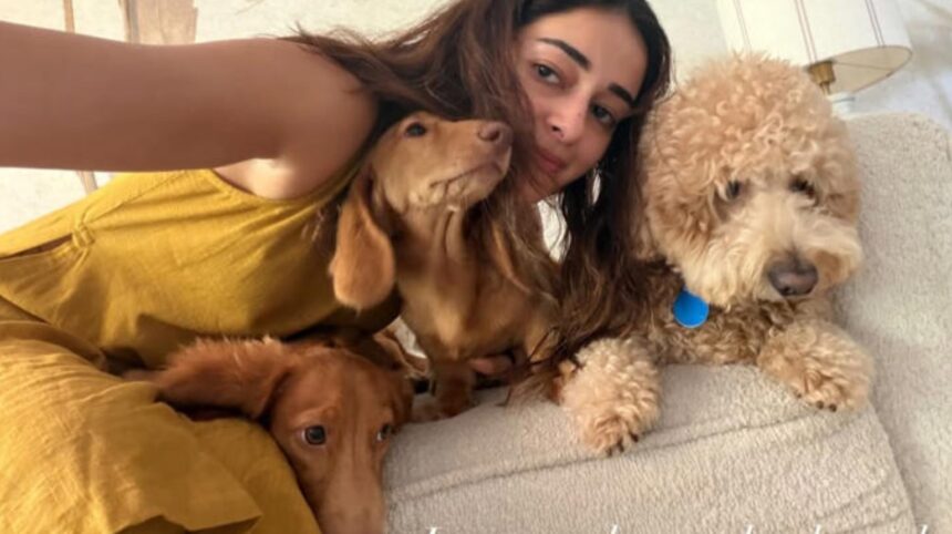 Hunterfly 08 03 225632 Ananya Panday spending Friendship Day with her pet dogs Honey, Lemon and Riot.