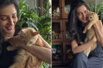 Shruti Haasan opens up about putting her Persian cat Aslan up for adoption