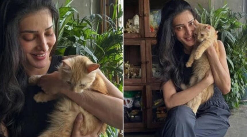 Shruti Haasan opens up about putting her Persian cat Aslan up for adoption