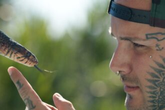 Monsters of God documentary review featuring wildlife trafficking and reptile smugglers
