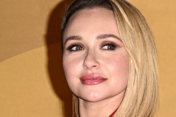 Melissa Gilbert discusses Hayden Panettiere and challenges faced by child actors