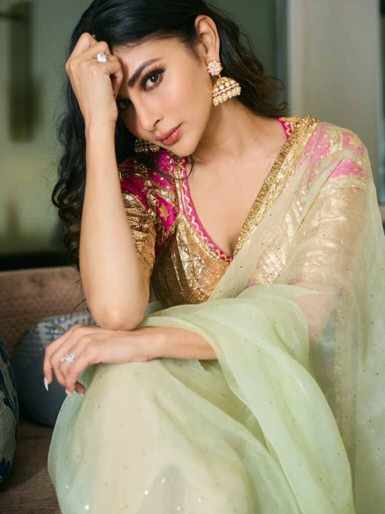 Hunterfly 650306078 18572244043048204 6915964865276649245 n 4. Mouni Roy's Aangi-Inspired Statement Blouse
