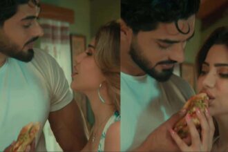 Nikki Tamboli and Arbaz Patel featured in their music video Kisi Aur Ki Gali