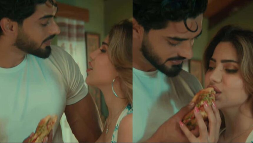 Nikki Tamboli and Arbaz Patel featured in their music video Kisi Aur Ki Gali