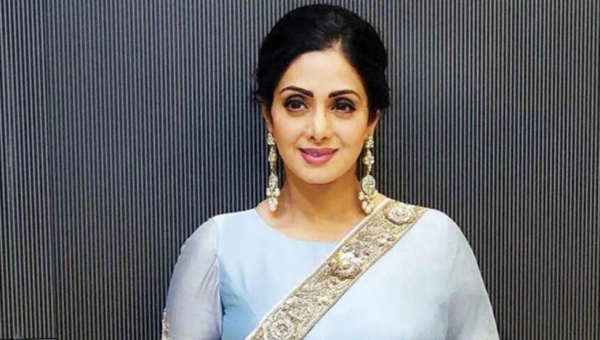 Sridevi family property dispute reaches the Supreme Court in Chennai case