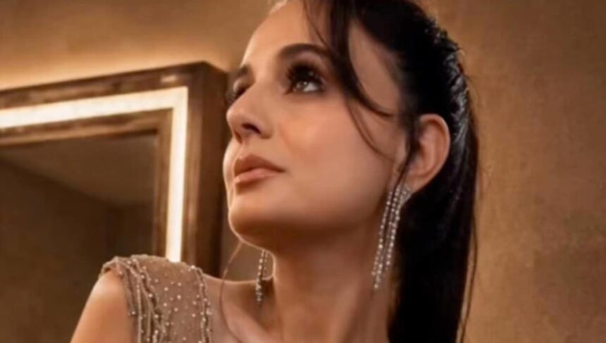 Ameesha Patel comments on celebrity entourages during film promotions