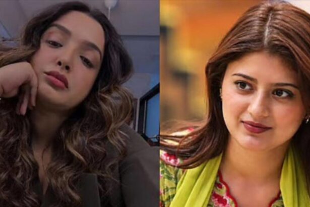 Arishfa Khan and Aamrapali Dubey in Bigg Boss 20