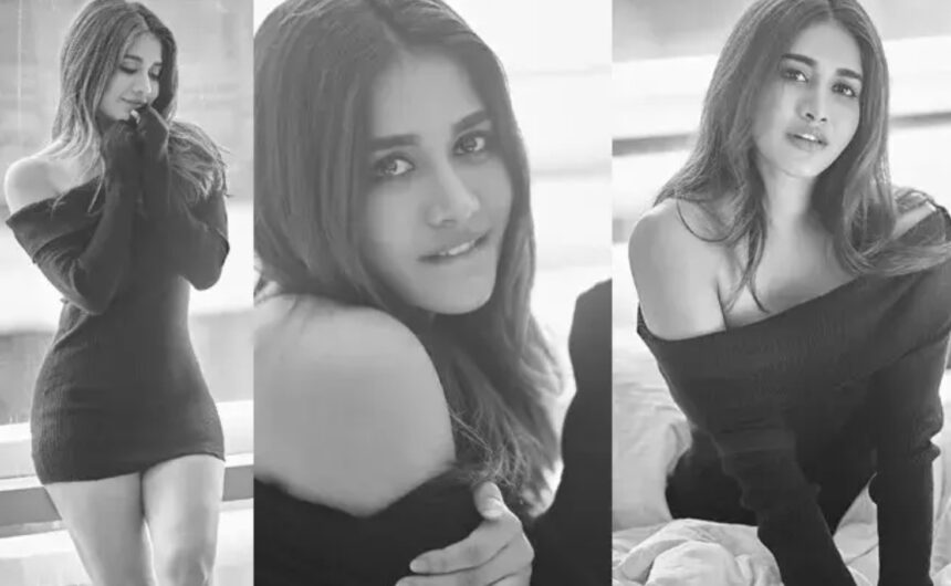 Nabha Natesh poses in a stylish black monochrome outfit