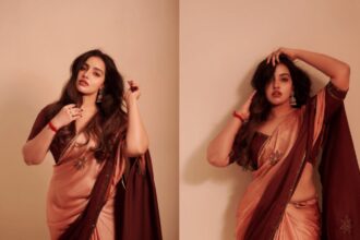 Peach and maroon saree with delicate embroidery and statement jewellery