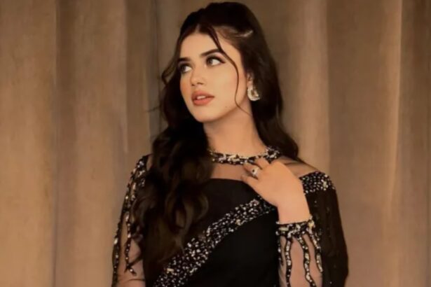 Alina Amir biography, Pakistani model and social media creator