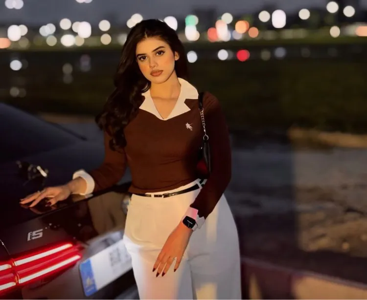 Alina Amir Instagram Career