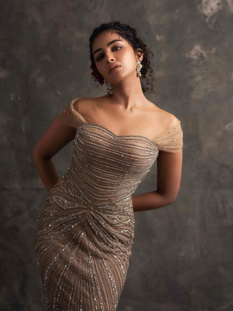 Anupama Parameswaran’s Post Sparks Fan Curiosity