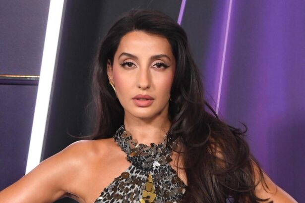 Hunterfly Nora Fatehi Bigg Boss 9 Journey