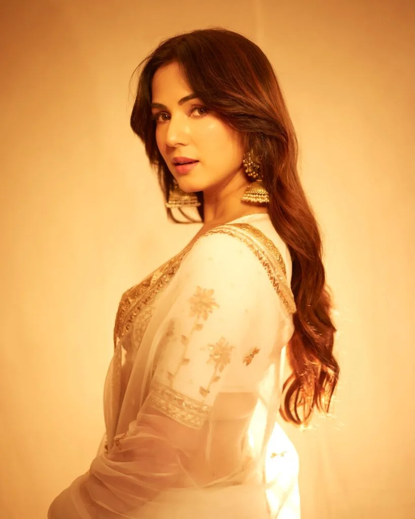 Hunterfly Sonal Chauhan 10 Sonal Chauhan Stuns in White and Gold Saree