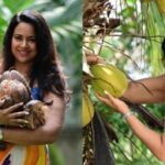 Actor Sameera Reddy